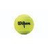 Pelotas de Tenis Wilson Championship XD