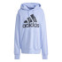 Sudadera adidas Essentials French Terry Big Logo Hoodie Hombre Azul