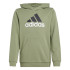 Sudadera adidas Essentials 2 Colored Big Logo Cotton Hoodie Infantil Verde