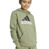 Sudadera adidas Essentials 2 Colored Big Logo Cotton Hoodie Infantil Verde