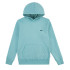 Sudadera Levis Lvb Mini Batwing Hoodie Infantil Verde