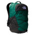 Mochila de Montaña The North Face Borealis Verde/Negro