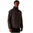 Chaqueta de Montaña Regatta WintrcalderdaleII Hombre