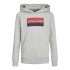 Sudadera Jack&Jones Jjnolan Sweat Hood Jnr Hombre Light Grey Melange