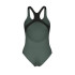 Bañador de Natación Arena Pro_File Mujer Sage/Negro