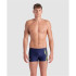 Bañador de Natación Arena Wake Hombre Azul/ Verde