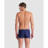 Bañador de Natación Arena Wake Hombre Azul/ Verde