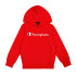 Sudadera Champion Hooded Sweatshirt Hombre