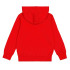 Sudadera Champion Hooded Sweatshirt Hombre