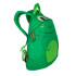 Mochila Regatta Roary Animal BkPk Verde
