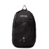 Mochila Regatta Bedabase II 15L Negro