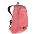Mochila Regatta Bedabase II 15L Dusty Rose
