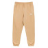 Pantalones de Montaña The North Face Essential Khaki Stone Hombre