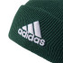 Gorro adidas Logo Beanie Verde Oscuro