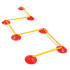 Set 50 Conos Con Soporte Picas Ag-505C Zastor Naranja/Rojo/Amarillo/Verde/Azul Pack