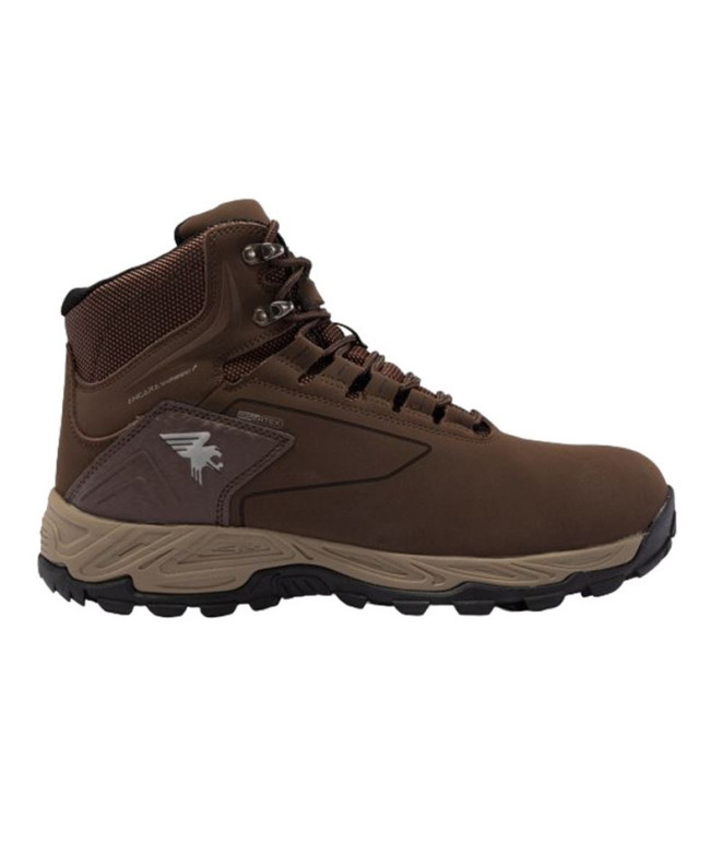 Zapatillas Joma Tk.Angara 2424 Marrón Hombre
