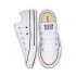 Zapatillas Converse Chuck Taylor All Star Seasonal Blanco Infantil
