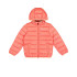 Chaqueta Champion Hooded Jacket Hombre