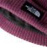 Gorro de Montaña The North Face Salty Lined Midnight Mauve