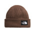 Gorro de Montaña The North Face Salty Lined Smokey Marrón