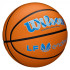 Balón de baloncesto Wilson Evo Nxt Game