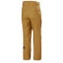 Pantalón de Esqui Helly Hansen Sogn Cargo Hombre Lynx