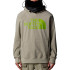 Sudadera de Snow The North Face Tekno Logo Hombre Gris