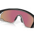 Gafas de ciclismo Oakley With Case BXTR Negro/Gris