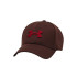 Gorra Under Armour Blitzing Hombre Marrón