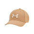 Gorra Under Armour Blitzing Adj Hombre Marrón
