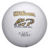 Balón de Voleibol Wilson Castaway