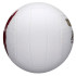 Balón de Voleibol Wilson Castaway