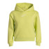 Sudadera Con Capucha Joma Stripe Adventure Niño/Niña Verde