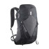 Bolsa de Trail Salomon Aerotrek 20 Anthracite/Nine Iron