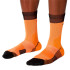 Calcetines de Trail The North Face Trail Run Crew Rojo