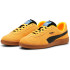 Zapatillas de Balonmano Puma  Handball