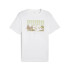 Camiseta Puma Graphics Mountain Tee Hombre White