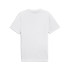 Camiseta Puma Graphics Mountain Tee Hombre White
