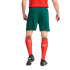 Pantalones de Fútbol Puma Portugal 25 Replica Hombre Verde