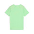 Camiseta Puma Graphics Iii B,Spring Fern, Niño