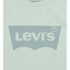 Camiseta Levi's Lvg Batwing Niña Celadon