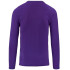 Camiseta Fútbol Kappa Vurbat Undershirt Ls Hombre Gentian Violet