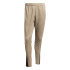 Pantalones de Fútbol adidas Squadra25 Tr Hombre Carpal/Negro
