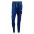 Pantalones adidas Tiro Cb_Np Hombre Azul Oscuro