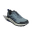 Zapatillas de Montaña adidas Terrex Anylander Hombre Gris