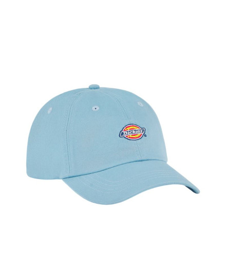 Gorra Dickies Hardwick Skyway Hombre
