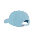 Gorra Dickies Hardwick Skyway Hombre