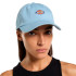 Gorra Dickies Hardwick Skyway Hombre