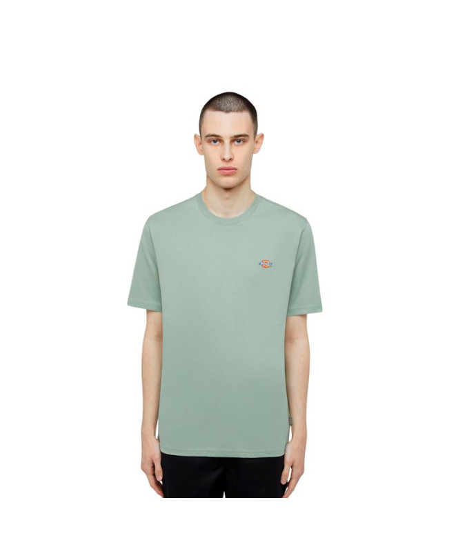 Camiseta Dickies Ss Mapleton Tee Iceberg Verde...