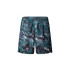 Pantalón de Montaña The north Face 24/7 7In Aop Hombre verde